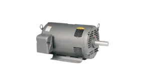 AC & DC, General Purpose Electric Motors