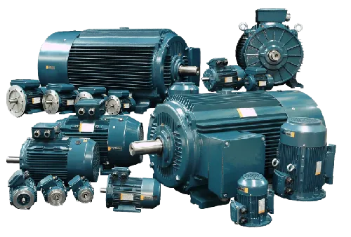 gear reducer and gear motor distributor